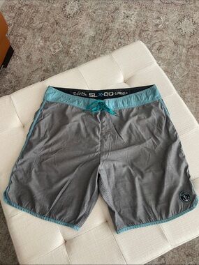 Men's Gray Swim Trunks with Teal Accents